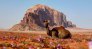 2-day-hike-with-overnight-in-wadi-rum.2
